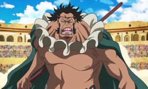 老蔡[日本動漫《海賊王》角色]