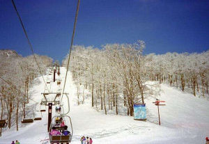 札幌滑雪場