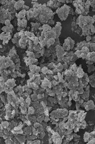 靈芝孢子粉的功效和作用及食用方法 靈芝孢子粉的功效和作用及食用方法