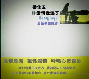 愛情走遠了 愛情走遠了