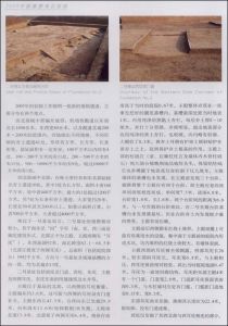 《2009中國重要考古發現》