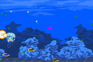 《瘋狂的水母》 《瘋狂的水母》