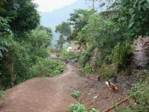 黃力田自然村 黃力田自然村