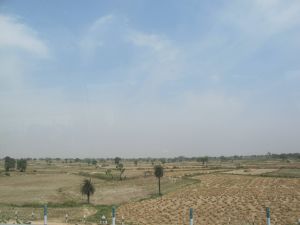 古吉拉特平原 古吉拉特平原