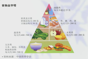 飲食金字塔