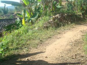 落雨山村 落雨山村