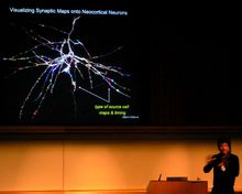 Henry Markram，人腦計畫項目協調人