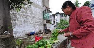 居民在自助售菜市場買菜
