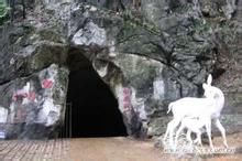 白鹿洞景區 白鹿洞景區