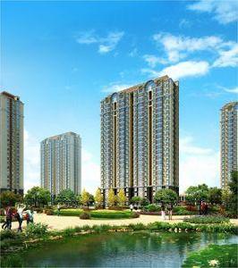 青年新城 青年新城