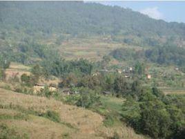 那海村[雲南普洱市墨江縣團田鄉下轄村]