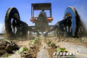 （圖）新疆生產兵團