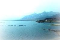 山東巨峰鎮 山東巨峰鎮