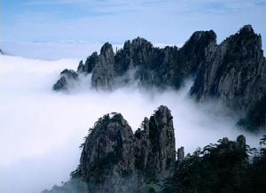 常山[正定常山]