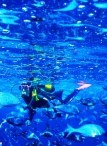 圖圖卡卡潛水俱樂部 圖圖卡卡潛水俱樂部