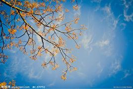 感懷[李煜詩作]