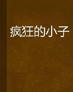 瘋狂的小子 瘋狂的小子