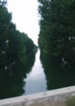 村西大橋眺望大溝