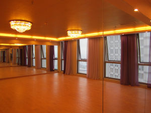 肚皮舞合肥培訓中心（溫可馨肚皮舞合肥分部）