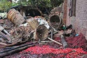 電白私炮窩點爆炸事件 電白私炮窩點爆炸事件