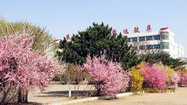 懷仁六中 懷仁六中