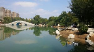 南湖植物園 南湖植物園