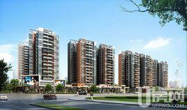 喬弘·模範生 喬弘·模範生