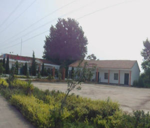 龍王咀農場 龍王咀農場