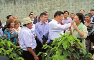 聖多明哥省 聖多明哥省