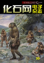 《化石@NET》