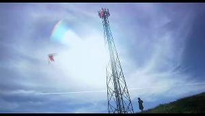 關於莉莉周的一切