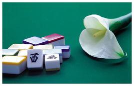 花樣麻將 花樣麻將