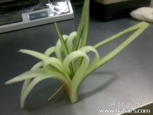 果盤草花 果盤草花