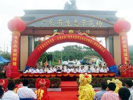 廣東省紅湖農場 廣東省紅湖農場