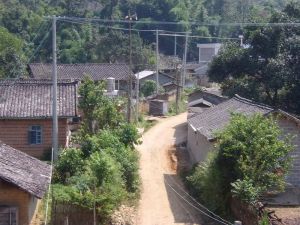 洞電自然村 洞電自然村