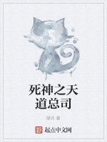死神之天道總司 死神之天道總司