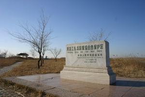 黑龍江扎龍自然保護區