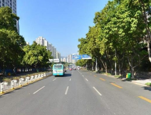 通新嶺社區 通新嶺社區