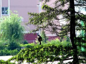 沭陽縣教育實驗學校 沭陽縣教育實驗學校