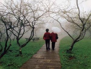 梅嶺休閒農業區