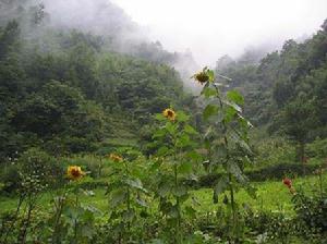 新港自然保護區