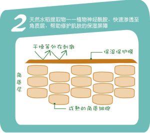 摩里摩里神奇水稻圖
