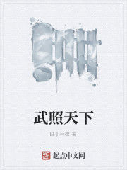 武照天下 武照天下