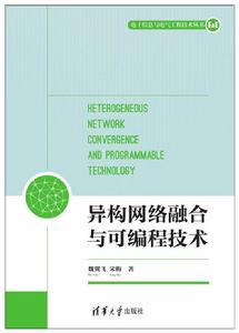 異構網路融合與可程式技術