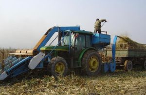 4YZ自走式玉米聯合收穫機