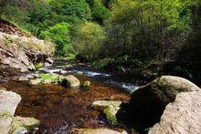 大峽溝國家森林公園