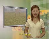 寧晉縣廣播電視局