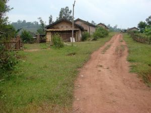 塘柳河自然村 塘柳河自然村