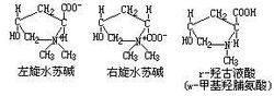 羥脯氨酸 羥脯氨酸
