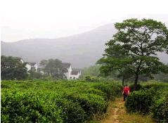 臨江國家森林公園